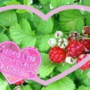 ヒメ日記 2025/05/06 03:03 投稿 まひろ One More 奥様　錦糸町店