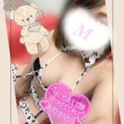 ヒメ日記 2025/11/09 21:13 投稿 まひろ One More 奥様　錦糸町店