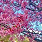 ヒメ日記 2025/03/14 21:32 投稿 おこめ メンヘラ専門デリヘル ゼロワン 横浜本店