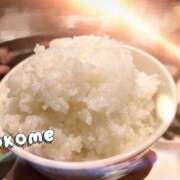 ヒメ日記 2025/03/16 18:52 投稿 おこめ メンヘラ専門デリヘル ゼロワン 横浜本店