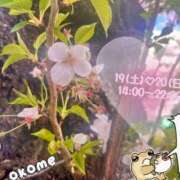 ヒメ日記 2025/04/15 13:32 投稿 おこめ メンヘラ専門デリヘル ゼロワン 横浜本店