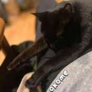 ヒメ日記 2025/04/22 11:02 投稿 おこめ メンヘラ専門デリヘル ゼロワン 横浜本店