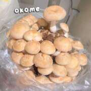 ヒメ日記 2025/05/14 20:42 投稿 おこめ メンヘラ専門デリヘル ゼロワン 横浜本店