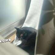 ヒメ日記 2025/06/04 11:22 投稿 おこめ メンヘラ専門デリヘル ゼロワン 横浜本店