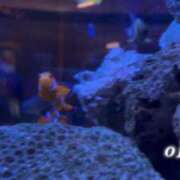 ヒメ日記 2025/06/09 23:42 投稿 おこめ メンヘラ専門デリヘル ゼロワン 横浜本店