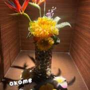 ヒメ日記 2025/06/18 00:12 投稿 おこめ メンヘラ専門デリヘル ゼロワン 横浜本店