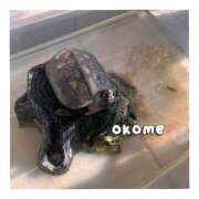 ヒメ日記 2025/06/20 21:22 投稿 おこめ メンヘラ専門デリヘル ゼロワン 横浜本店