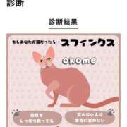 ヒメ日記 2025/06/25 09:03 投稿 おこめ メンヘラ専門デリヘル ゼロワン 横浜本店