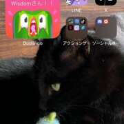 ヒメ日記 2025/07/17 21:22 投稿 おこめ メンヘラ専門デリヘル ゼロワン 横浜本店