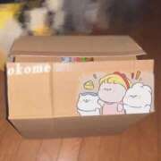 ヒメ日記 2025/08/15 20:22 投稿 おこめ メンヘラ専門デリヘル ゼロワン 横浜本店