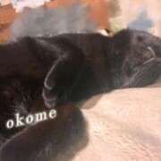 ヒメ日記 2025/08/28 20:22 投稿 おこめ メンヘラ専門デリヘル ゼロワン 横浜本店