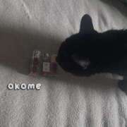 ヒメ日記 2025/09/07 12:42 投稿 おこめ メンヘラ専門デリヘル ゼロワン 横浜本店