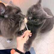 ヒメ日記 2025/10/28 00:42 投稿 おこめ メンヘラ専門デリヘル ゼロワン 横浜本店