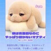 ヒメ日記 2025/12/25 09:52 投稿 おこめ メンヘラ専門デリヘル ゼロワン 横浜本店