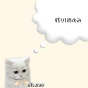 おこめ 早い者勝ちやね.../// メンヘラ専門デリヘル ゼロワン 横浜本店