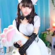 ヒメ日記 2025/09/19 19:05 投稿 リサ 千葉美女革命