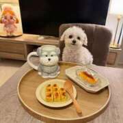 ヒメ日記 2025/10/11 17:03 投稿 リサ 千葉美女革命