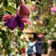 ヒメ日記 2025/02/28 20:43 投稿 一音-hitone- 未熟な若奥