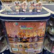 ヒメ日記 2025/06/16 10:23 投稿 一音-hitone- 未熟な若奥