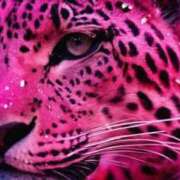 ヒメ日記 2025/06/30 07:24 投稿 一音-hitone- 未熟な若奥