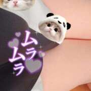 ヒメ日記 2025/05/04 10:29 投稿 そら One More 奥様　錦糸町店