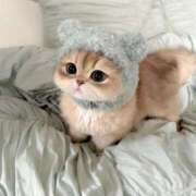 ヒメ日記 2025/04/15 13:24 投稿 りな 男爵