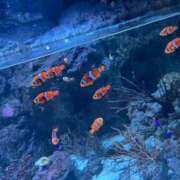 ヒメ日記 2025/09/28 12:50 投稿 あおば 五反田痴女性感フェチ倶楽部