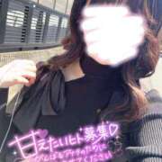 ヒメ日記 2025/04/29 10:52 投稿 めぐみ ZERO