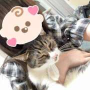 ヒメ日記 2025/05/29 17:29 投稿 めぐみ ZERO