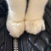 ヒメ日記 2025/05/29 21:37 投稿 めぐみ ZERO