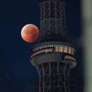 ヒメ日記 2025/09/08 23:49 投稿 めぐみ ZERO