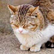 ヒメ日記 2025/11/28 19:45 投稿 めぐみ ZERO