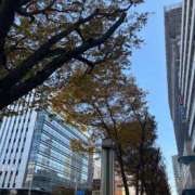 ヒメ日記 2025/11/29 11:34 投稿 めぐみ ZERO