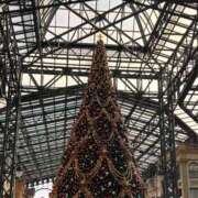 ヒメ日記 2025/12/12 16:04 投稿 めぐみ ZERO