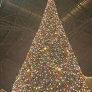 ヒメ日記 2025/12/20 01:23 投稿 めぐみ ZERO