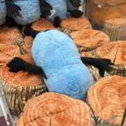 ヒメ日記 2026/01/15 21:02 投稿 めぐみ ZERO