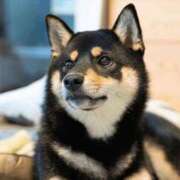 ヒメ日記 2026/01/31 21:31 投稿 めぐみ ZERO