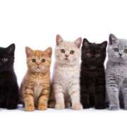 ヒメ日記 2026/02/22 13:02 投稿 めぐみ ZERO