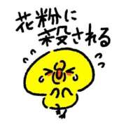 ヒメ日記 2026/02/22 14:03 投稿 めぐみ ZERO