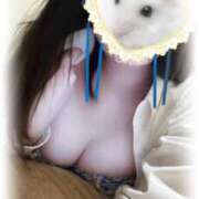 ヒメ日記 2025/02/20 10:21 投稿 あかね 横浜ひよこ倶楽部