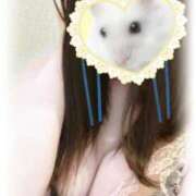 ヒメ日記 2025/02/21 10:26 投稿 あかね 横浜ひよこ倶楽部