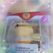 ヒメ日記 2025/04/02 14:50 投稿 宮西ちさ(みやにしちさ) 五十路マダムエクスプレス厚木店(カサブランカグループ)