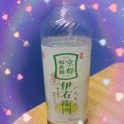 ヒメ日記 2025/04/18 14:22 投稿 宮西ちさ(みやにしちさ) 五十路マダムエクスプレス厚木店(カサブランカグループ)