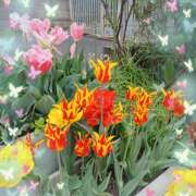 ヒメ日記 2025/05/16 17:06 投稿 宮西ちさ(みやにしちさ) 五十路マダムエクスプレス厚木店(カサブランカグループ)