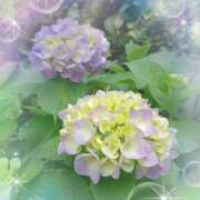 ヒメ日記 2025/06/06 21:26 投稿 宮西ちさ(みやにしちさ) 五十路マダムエクスプレス厚木店(カサブランカグループ)