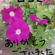 ヒメ日記 2025/08/09 20:04 投稿 宮西ちさ(みやにしちさ) 五十路マダムエクスプレス厚木店(カサブランカグループ)