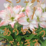 ヒメ日記 2025/08/15 23:16 投稿 宮西ちさ(みやにしちさ) 五十路マダムエクスプレス厚木店(カサブランカグループ)