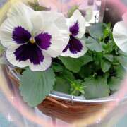 ヒメ日記 2025/12/15 16:56 投稿 宮西ちさ(みやにしちさ) 五十路マダムエクスプレス厚木店(カサブランカグループ)