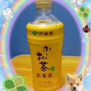 ヒメ日記 2026/02/02 17:58 投稿 宮西ちさ(みやにしちさ) 五十路マダムエクスプレス厚木店(カサブランカグループ)