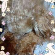 ヒメ日記 2026/02/26 05:04 投稿 宮西ちさ(みやにしちさ) 五十路マダムエクスプレス厚木店(カサブランカグループ)